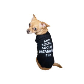 Anti Social Social Distancing Pup (Color: Black, size: large)
