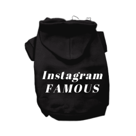 IG Famous Hoodie (Color: Black, size: 2X Large)