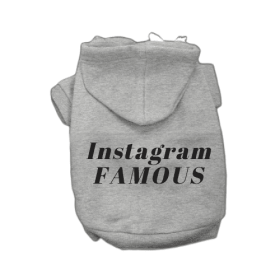 IG Famous Hoodie (Color: grey, size: small)