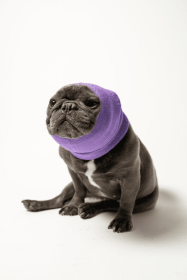 PET HOODZ DOG HOODIES FOR ANXIETY (Color: Lavender, size: large)