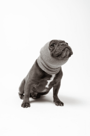 PET HOODZ DOG HOODIES FOR ANXIETY (Color: grey, size: X-Large)